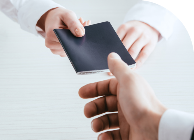 License renewals