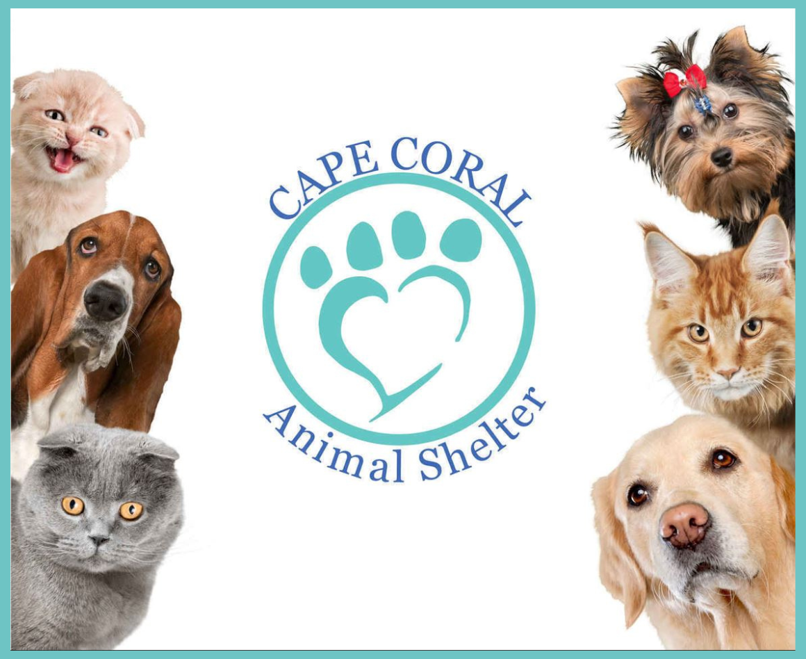 picture of cats and dogs with the Cape Coral Animal Shelter logo between them. The logo is a paw in the shape of a heart within a circle and the words Cape Coral Animal Shelter.