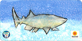 24-LC-OGW-016