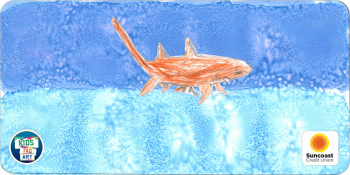 24-LC-OGW-054