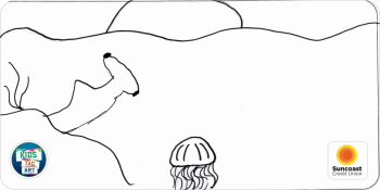 24-LC-CLS-146